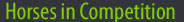 Horses Currently in Competition