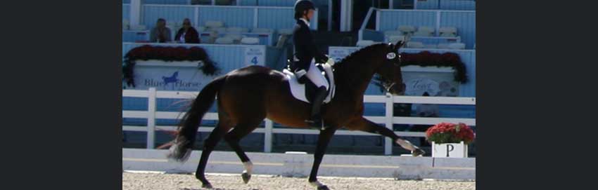 Sonia Zugel riding for Ireland in Devon 2011