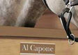 Al Capone - Picture 5