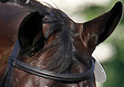 Truman - picture 1